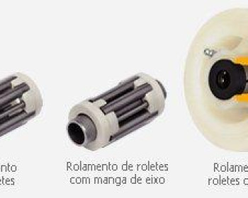 Os roletes schioppa é o rolamento de uso industrial mais empregado e montado nas rodas e rodízios da Schioppa. Indicado para o uso geral, onde há a aplicação de cargas médias com movimentação regular e tração manual. É fabricado em aço carbono e o dimensional do diâmetro do eixo, é fornecido em polegadas. Devido à simplicidade do seu funcionamento e o seu baixo custo, os roletes são indicados para todos os tipos de pisos regulares.